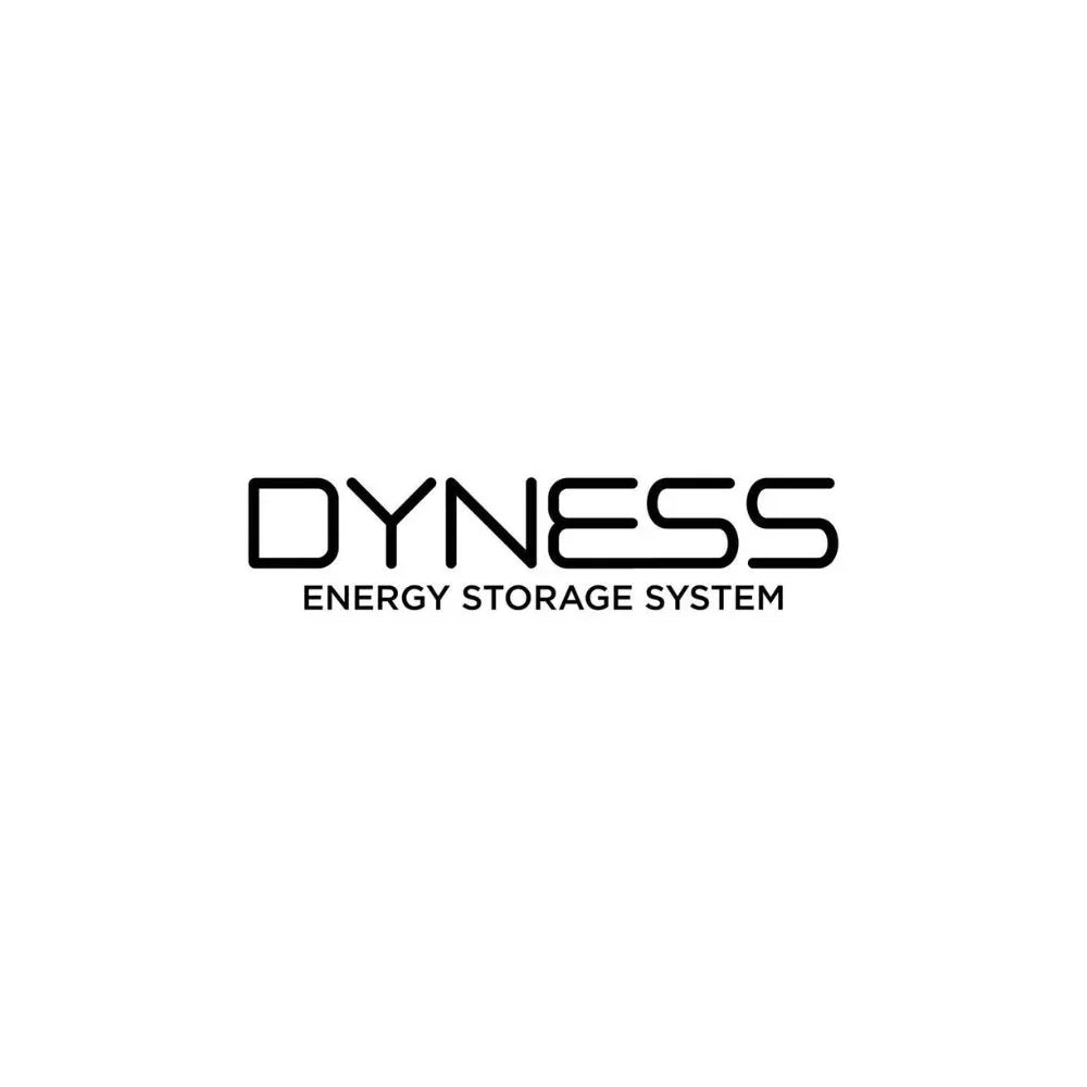 Dyness baterie