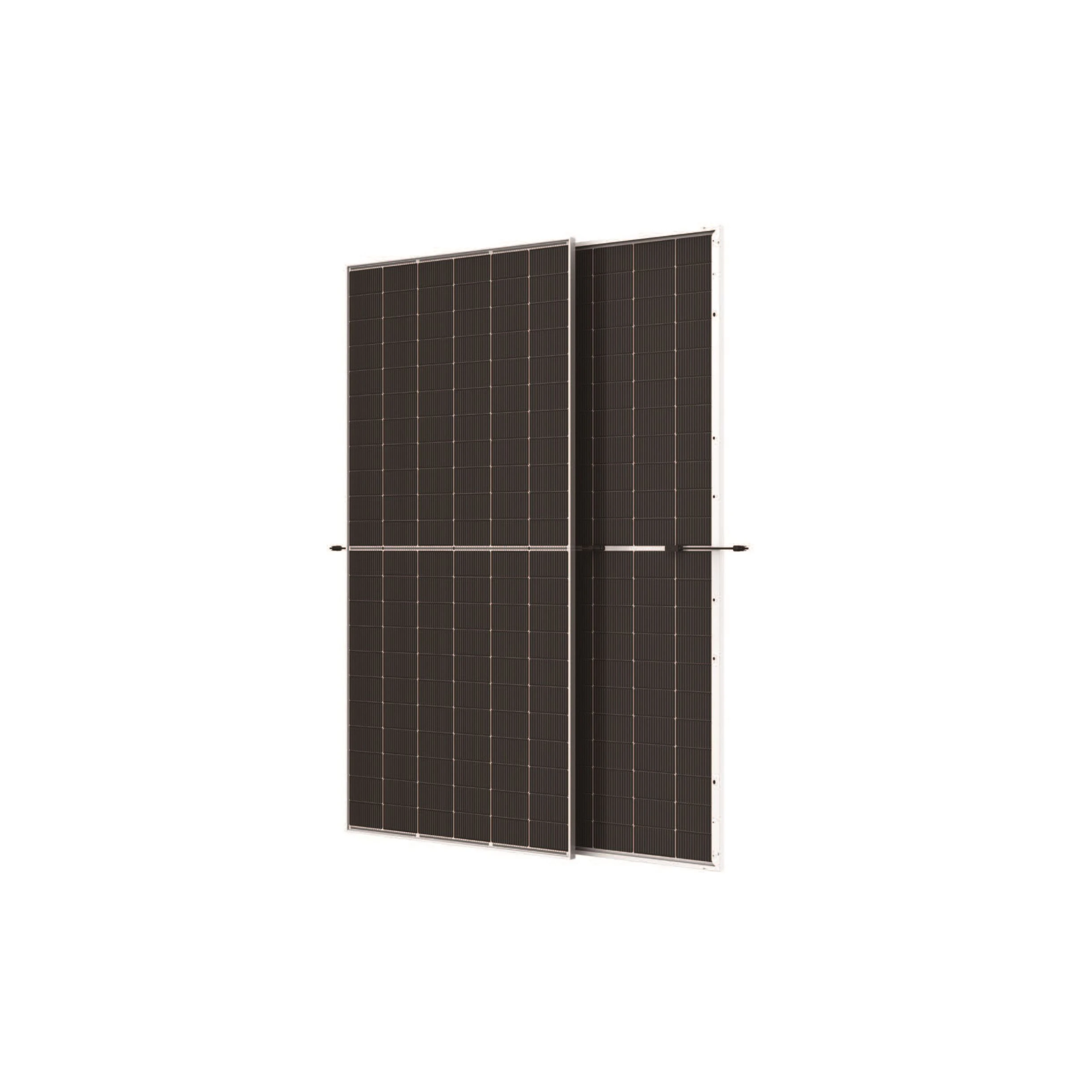 Trina TSM-NEG19RC.20 600W